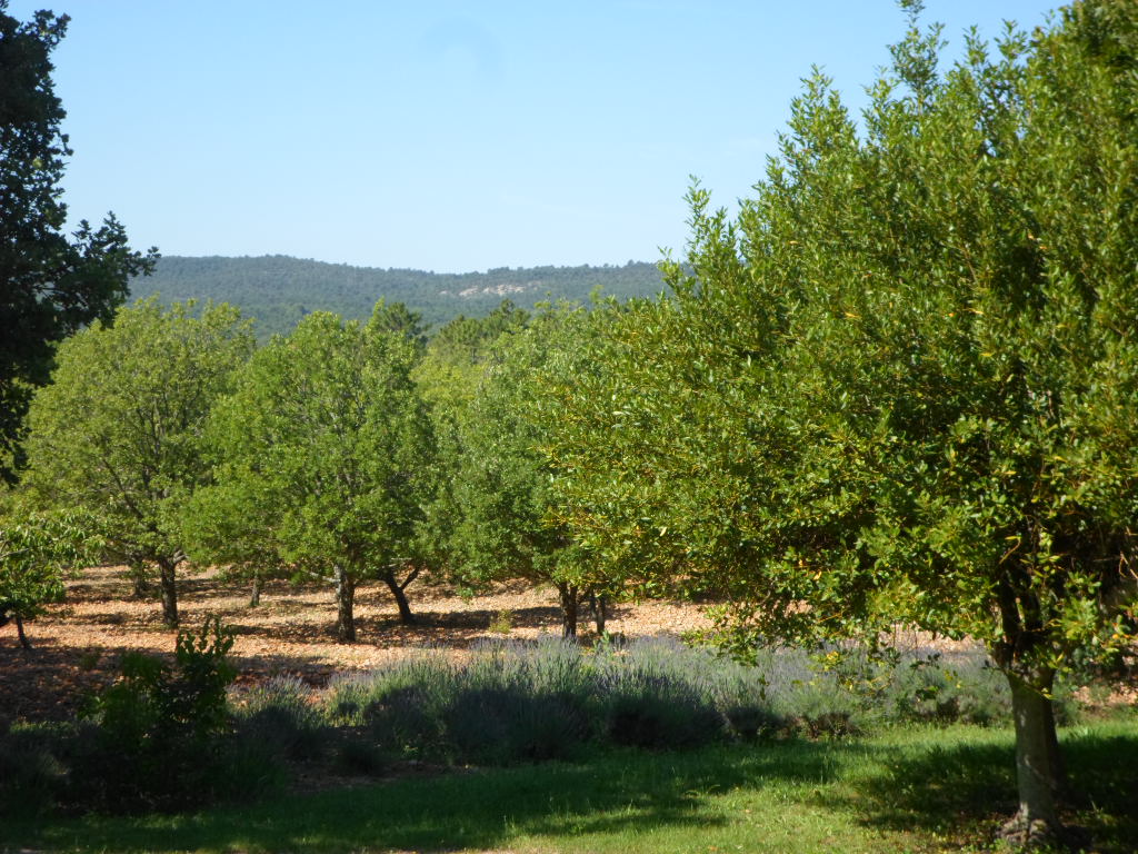 VUE DU GITE