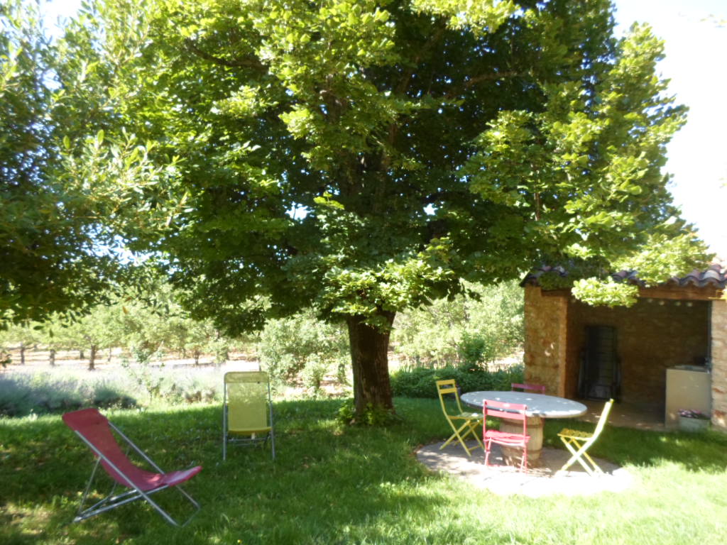 TABLE DE JARDIN SOUS LE TILLEUL