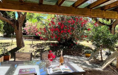 G&icirc;te n&deg;G972 Six-Fours-les-Plages - Var - Terrasse g&icirc;te Roses Rouges