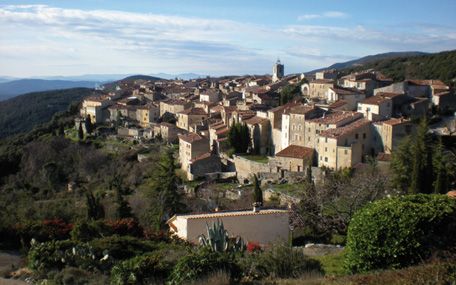 photo 0