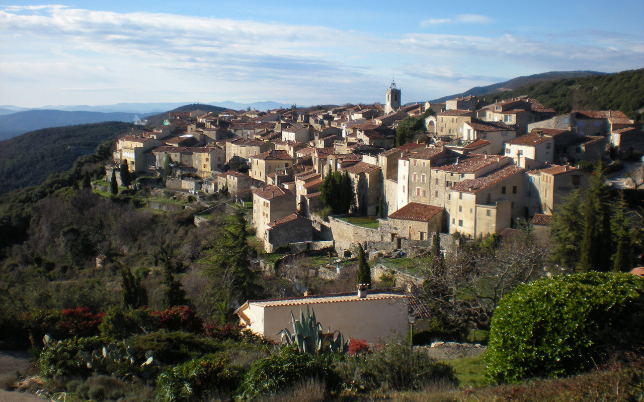 photo 0