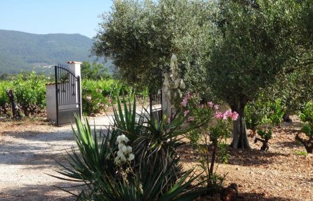 Bienvenue à la Campagne Gîte n°G2452 Cuers - Var - Bienvenue à la Campagne