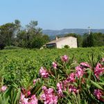 gite - Maison individuelle Les Plaines avec piscine privée - MONTFORT SUR ARGENS - Var