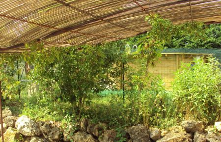 G&icirc;te n&deg;G1497 La Verdi&egrave;re - Var - photoEte